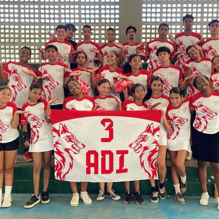 Cópia de WhatsApp Image 2024-12-14 at 14.12.46