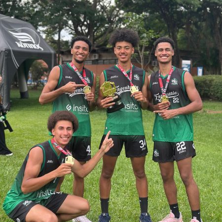 Cópia de ursosbask_1734010307894 (1)